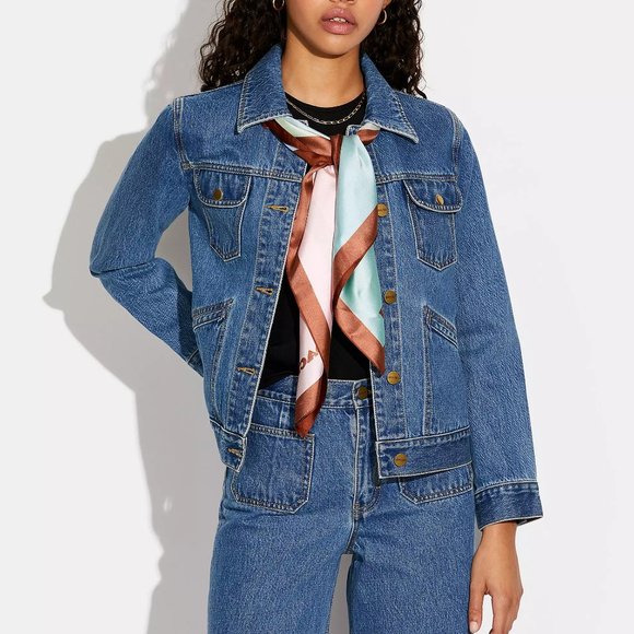 🥰 Coach Signature Ombre Rexy Print Silk Square Scarf - Picture 2 of 7